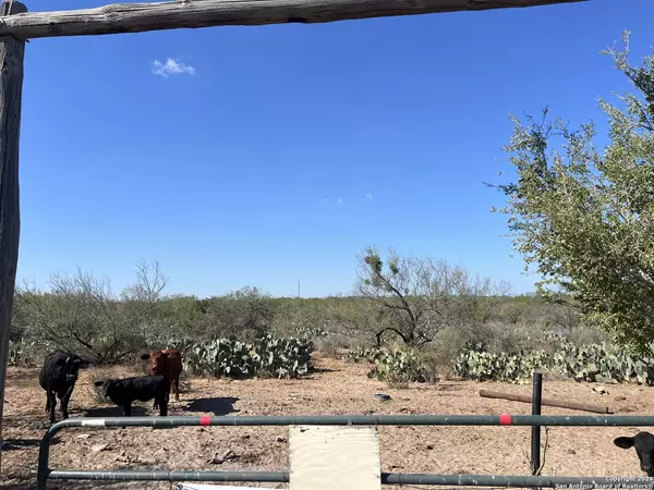 Carrizo Springs, TX 78834,0 Saenz Rd