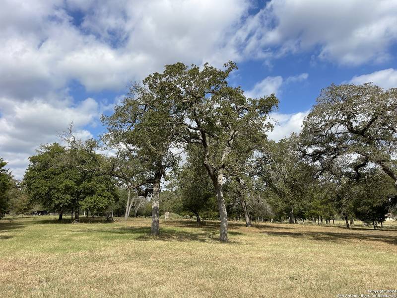 9300 Old Colony Line, Dale, TX 78616