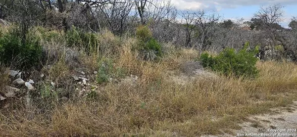 Rio Medina, TX 78066,CR 2652 LOT 19 COUNTY ROAD 2652