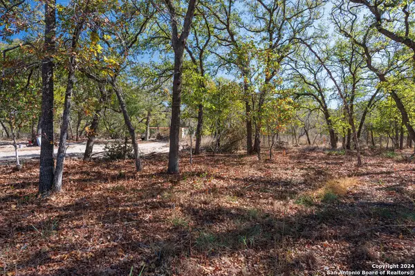 La Vernia, TX 78121,262 oak valley