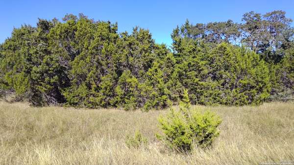 630 RAYNER RANCH BLVD, Spring Branch, TX 78070