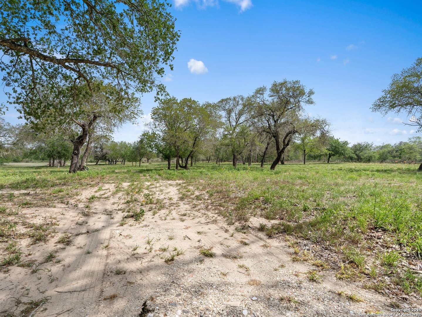 Floresville, TX 78114,2975 County Road 120