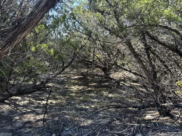 LOT 191 Antler Run, Pipe Creek, TX 78063