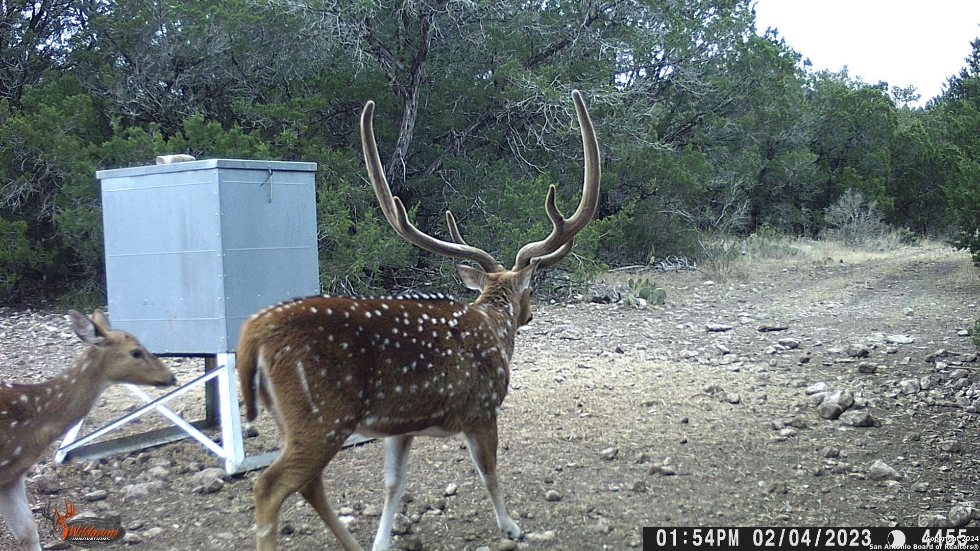 Brackettville, TX 78832,TBD RM 334
