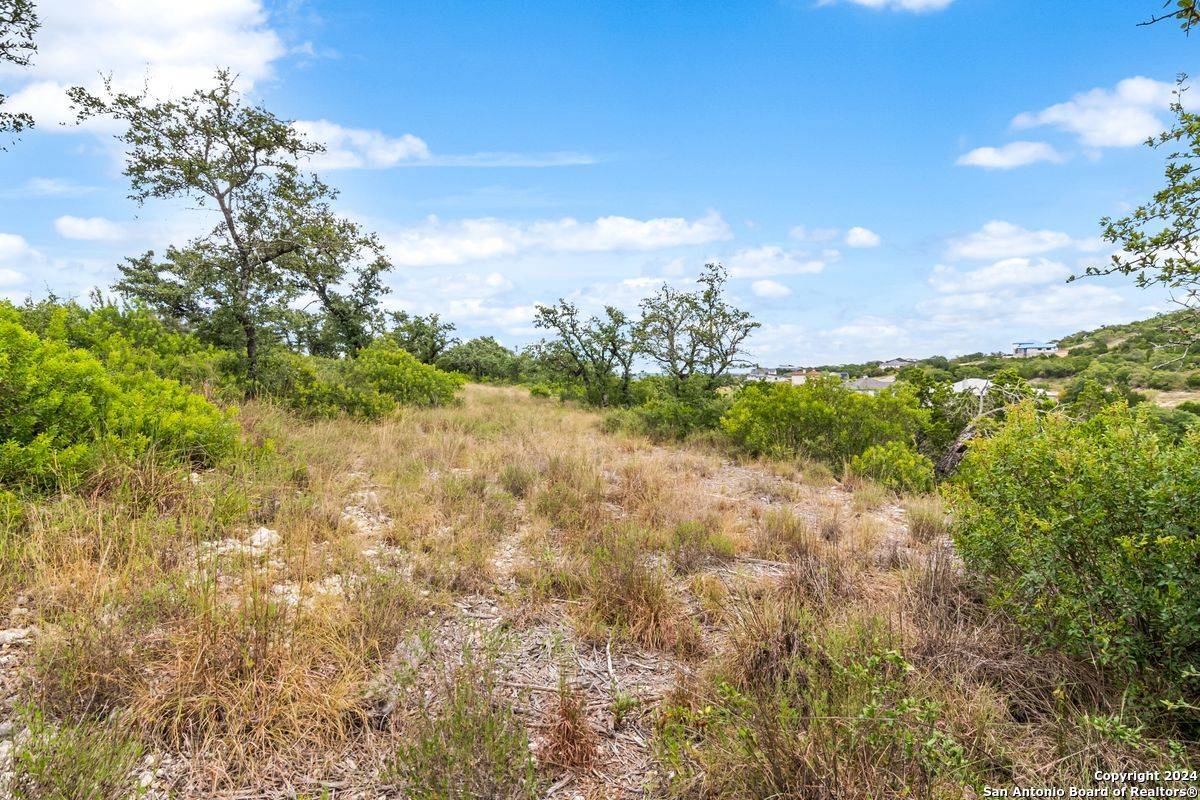 San Antonio, TX 78023,23514 BASSE CYN