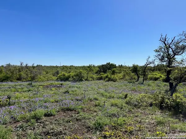 Harper, TX 78631,000 Sweet Wind