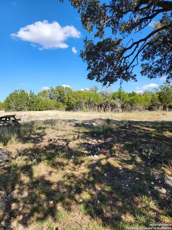 Canyon Lake, TX 78133-1902,2045 DESIREE ST