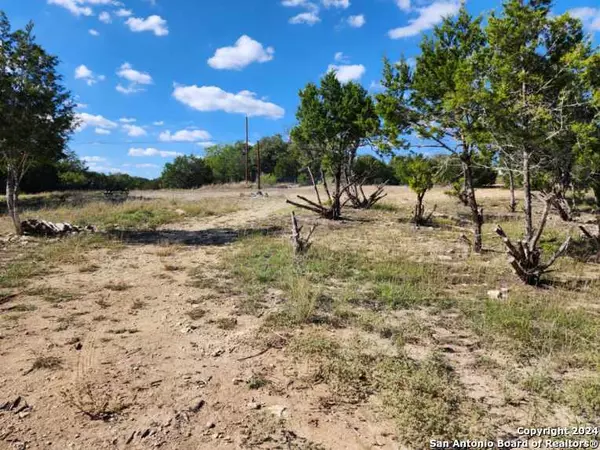 Canyon Lake, TX 78133-1902,2045 DESIREE ST