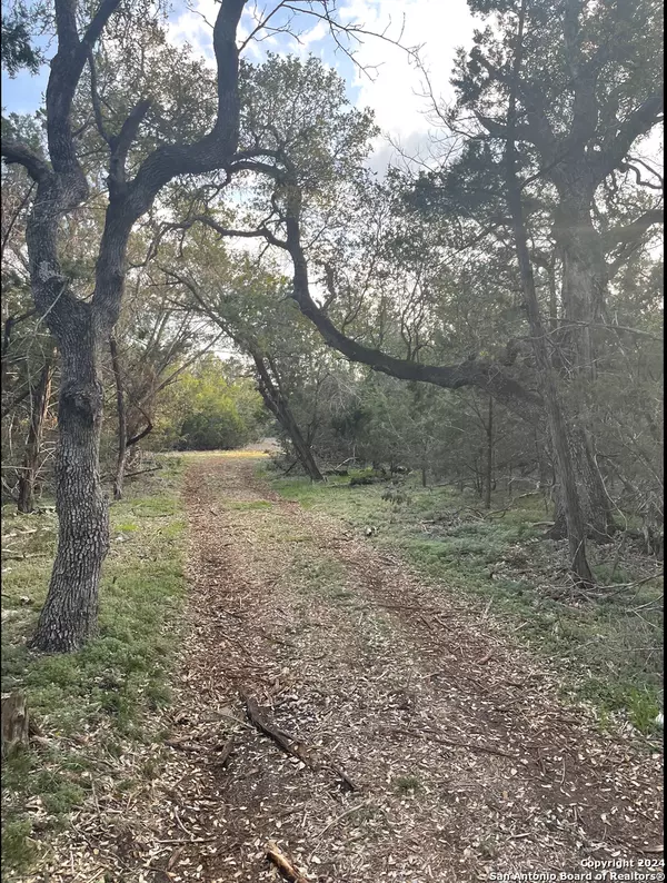 Bulverde, TX 78163,917 First Fork