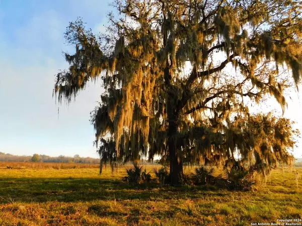 Magnolia, TX 77354,000 Karen Switch Rd