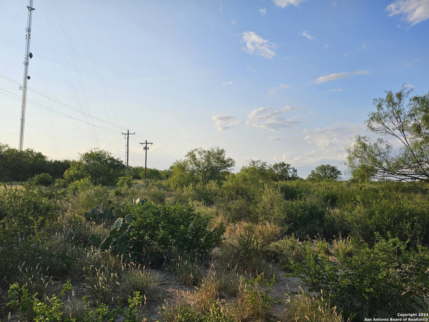 Crystal City, TX 78839,0 Hwy 83