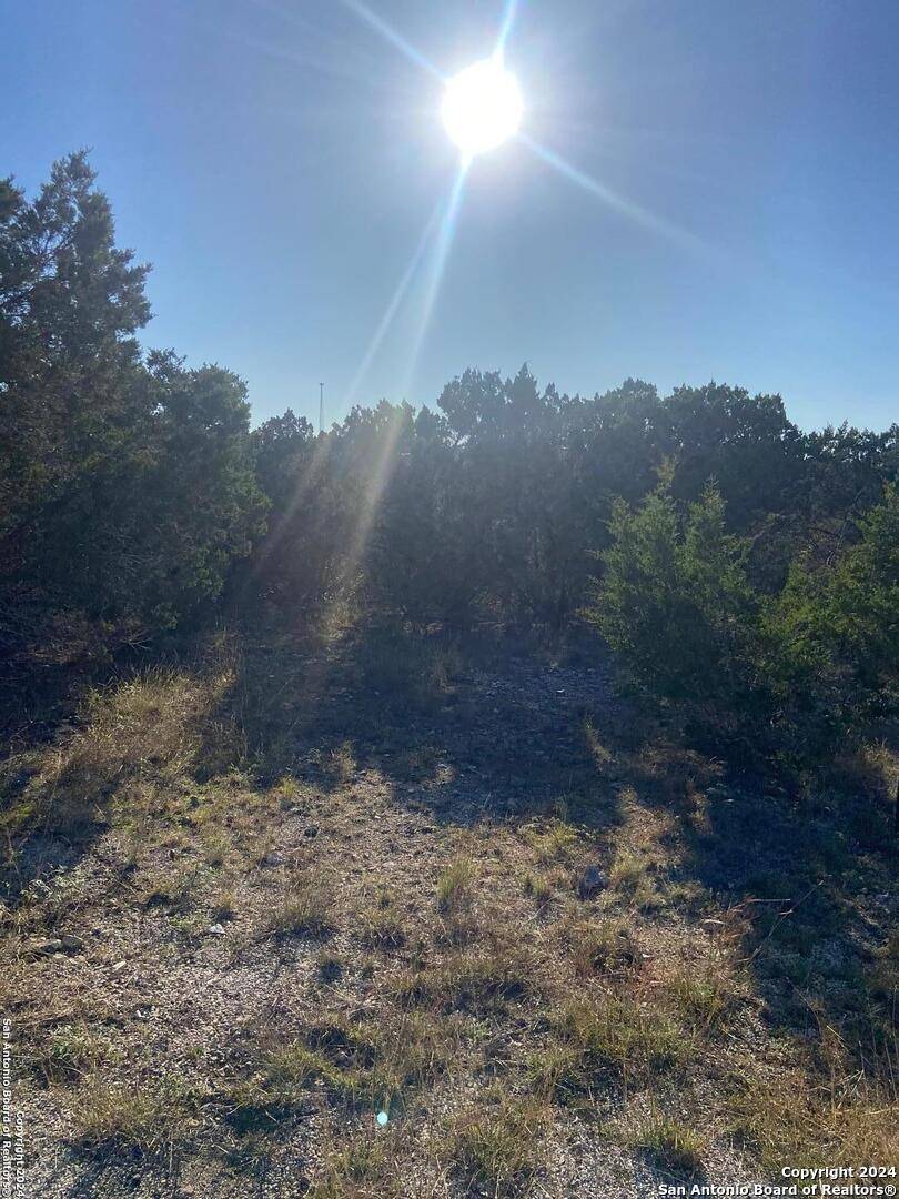 TBD Cedar Hill Road, Pipe Creek, TX 78063