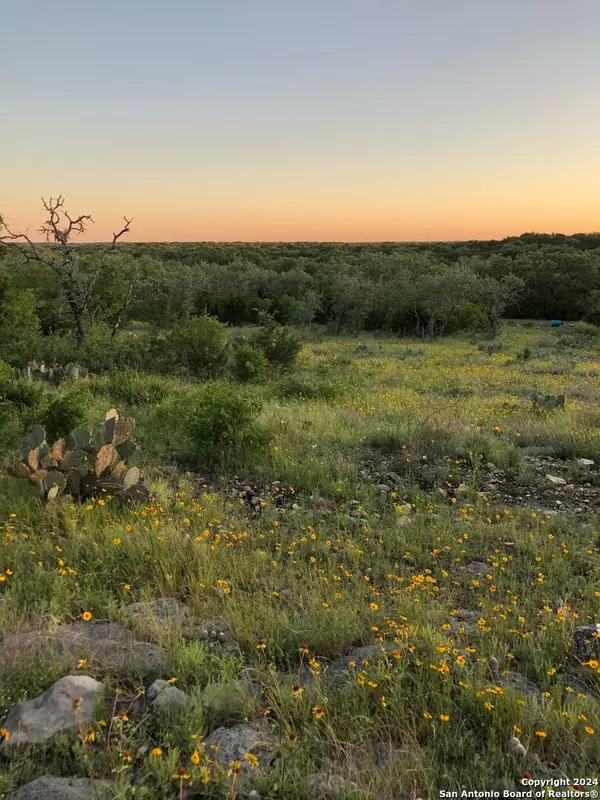 Hondo, TX 78861,TBD COUNTY ROAD 241