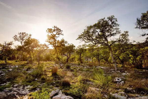 New Braunfels, TX 78132,1333 powder ridge