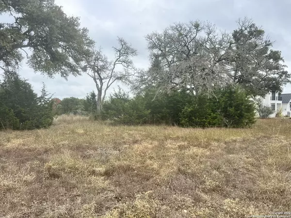 Spring Branch, TX 78070,209 Starling Pass