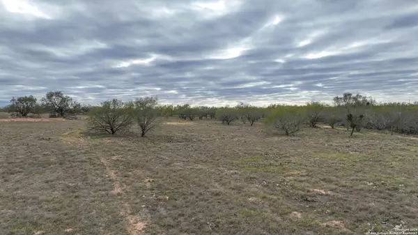 Pearsall, TX 78061,2675 CR 3000