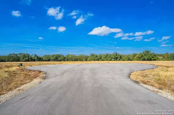 Harper, TX 78631,LOT 12 Turn Out Lane