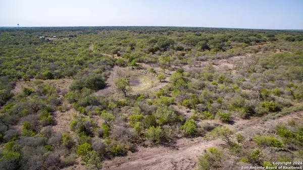 Castroville, TX 78009,1400 Private Road 4620