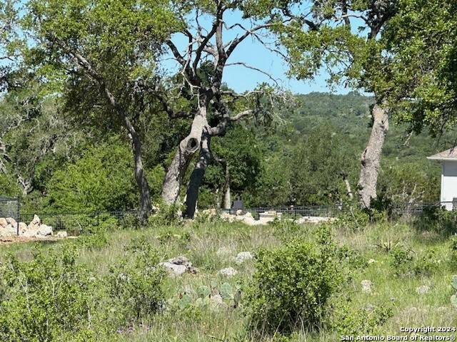 1506 (LOT 1467) Bolognese,  New Braunfels,  TX 78132