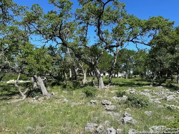 New Braunfels, TX 78132,1506 (LOT 1467) Bolognese