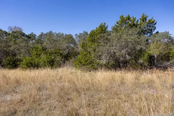 Boerne, TX 78006,BLOCK 3, LOT 1 Easy Money