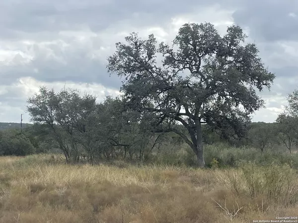 Hondo, TX 78861,TBD Raleigh Oaks