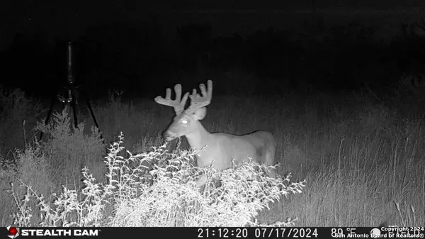 Charlotte, TX 78011,000 CR 354-Easement