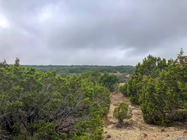 Canyon Lake, TX 78133,TBD FM 484