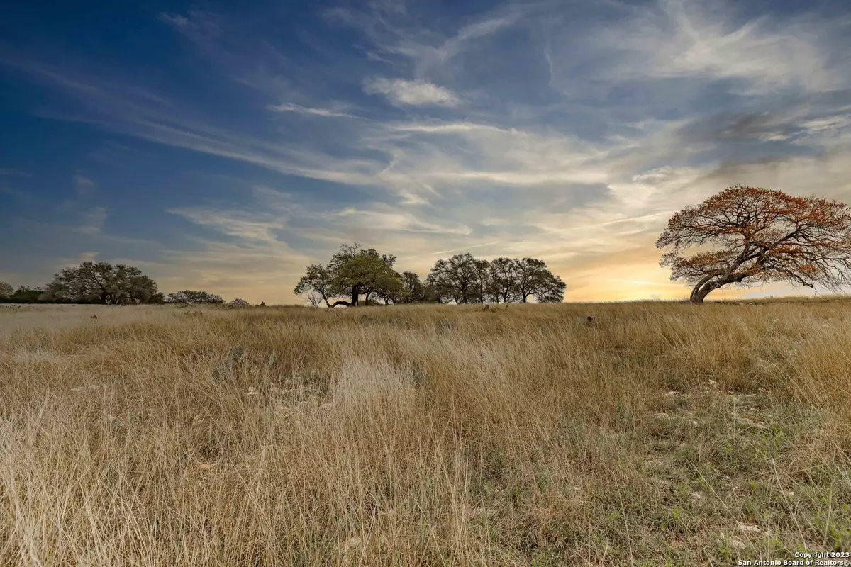 Kerrville, TX 78028,LOT 163 Loma Vista Ranch