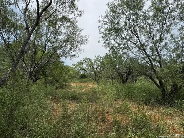 Moore, TX 78057,TBD FM 462
