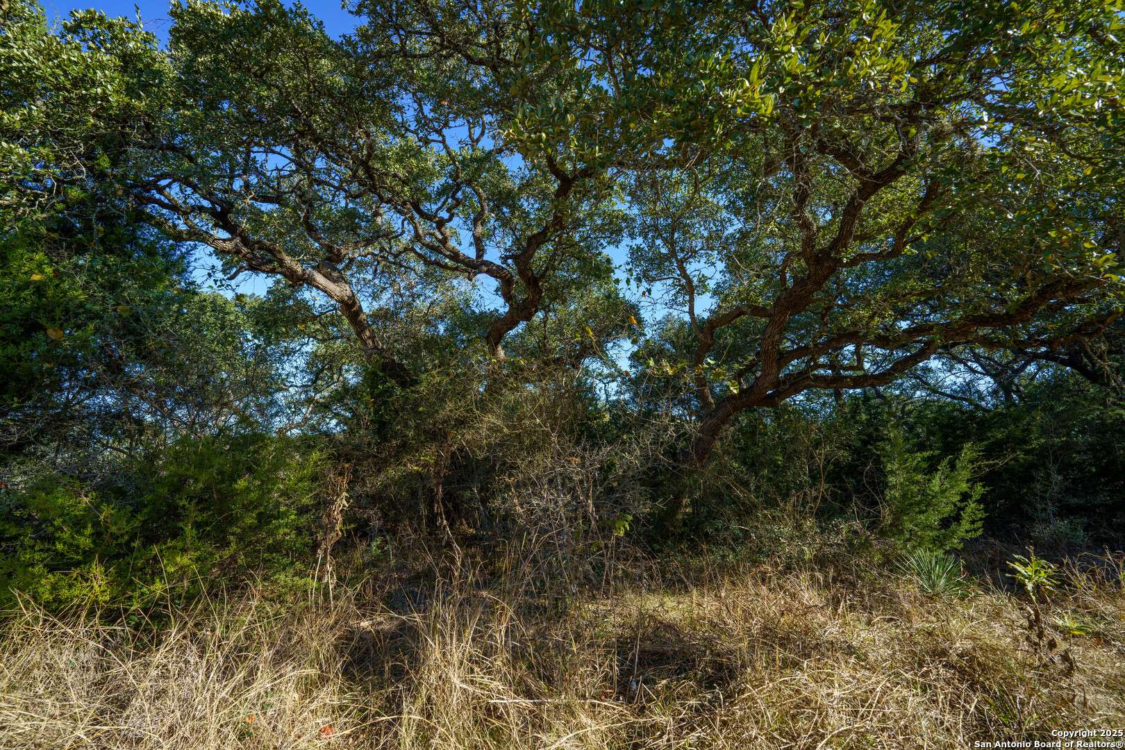 Boerne, TX 78006,25030 Caliza Cove