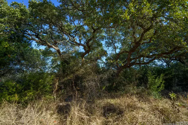 Boerne, TX 78006,25030 Caliza Cove