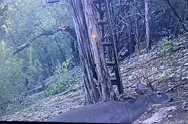 Tarpley, TX 78883,424 SIERRA VIS