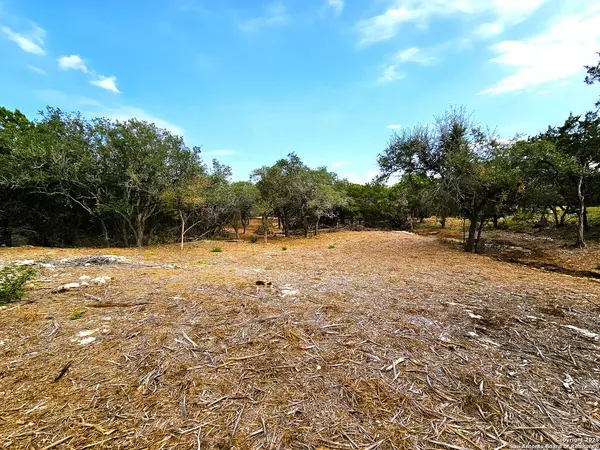 Bulverde, TX 78163,30806 Bulverde Hills Dr