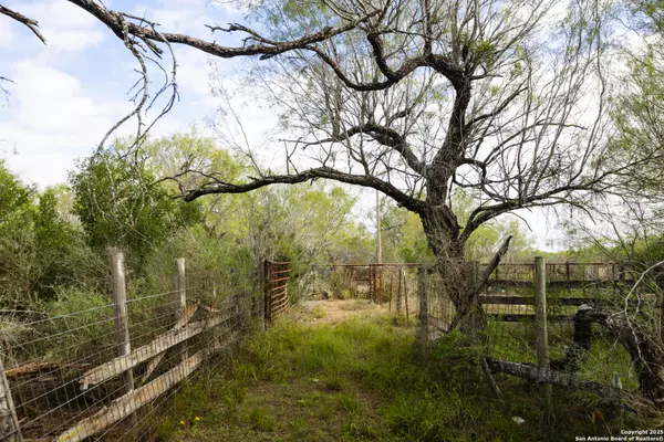 Pearsall, TX 78061,7 FM 1581
