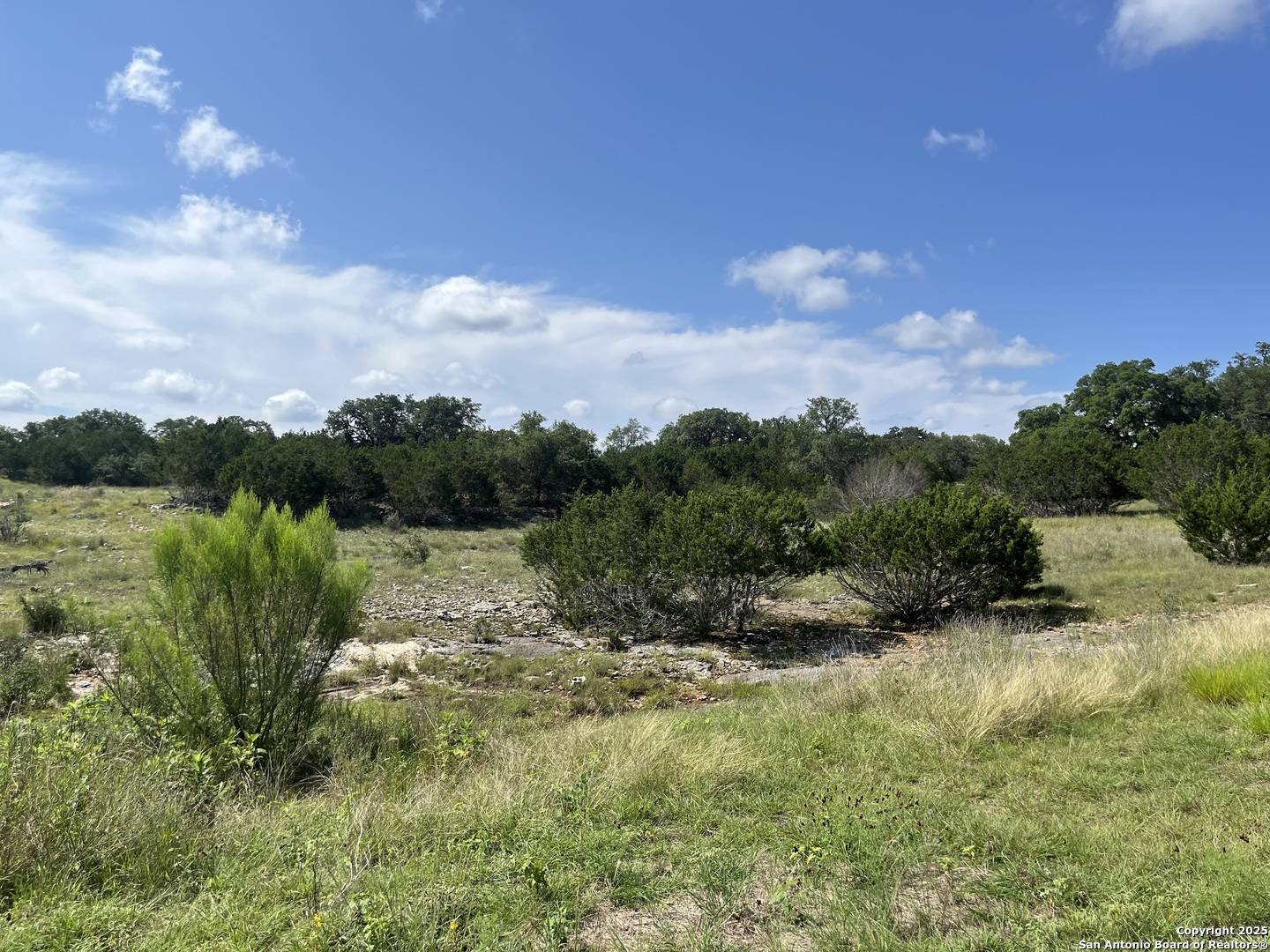 Bandera, TX 78003,137 Palomino Springs