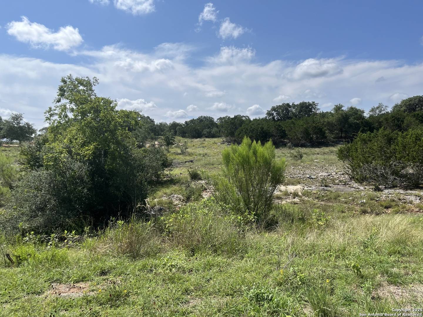 Bandera, TX 78003,LOT 137 Palomino Springs