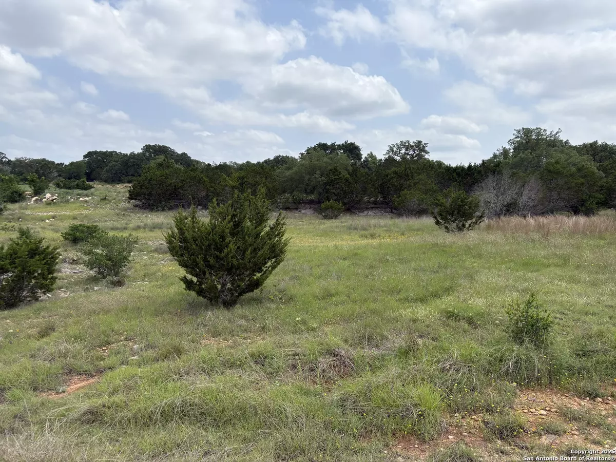 Bandera, TX 78003,LOT 138 Palomino Springs