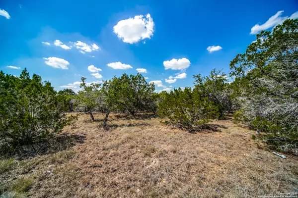 Bulverde, TX 78163,972 scarlett ridge