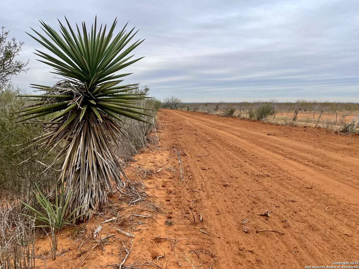 Bigfoot, TX 78005,TRACT 1 FM 140