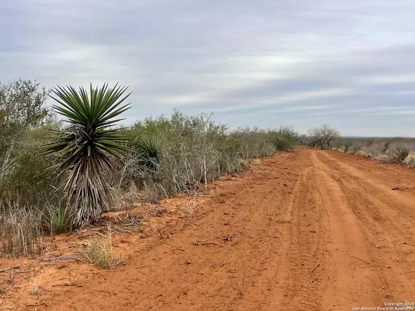 Bigfoot, TX 78005,TRACT 1 FM 140