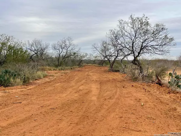 Bigfoot, TX 78005,TRACT 1 FM 140