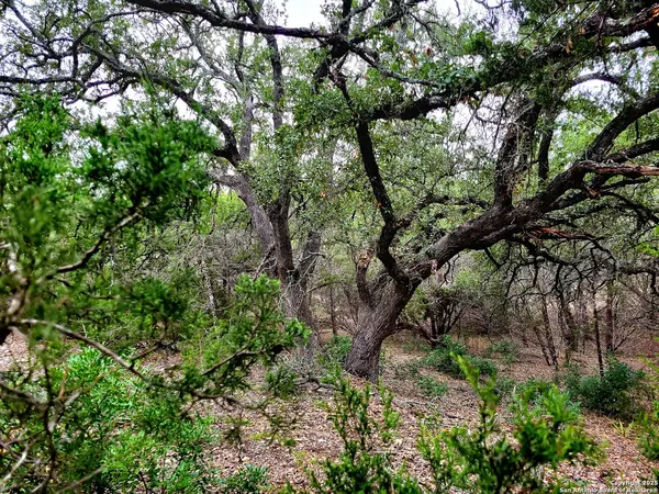 Fischer, TX 78623,171,193 Appaloosa Dr