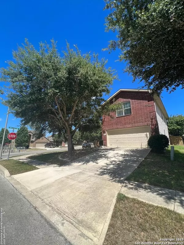 Cibolo, TX 78108,300 prickly pear