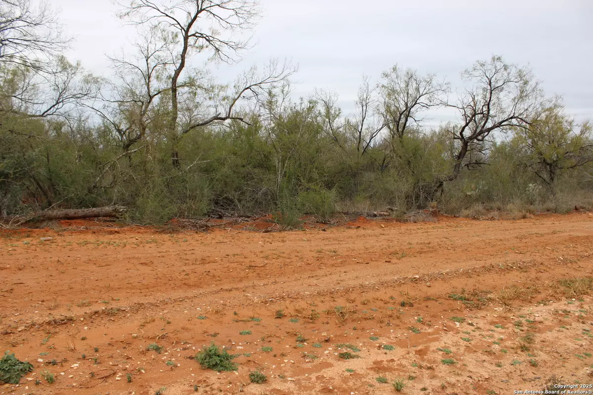 Pearsall, TX 78061,3415 County Road/Bennett Avenue