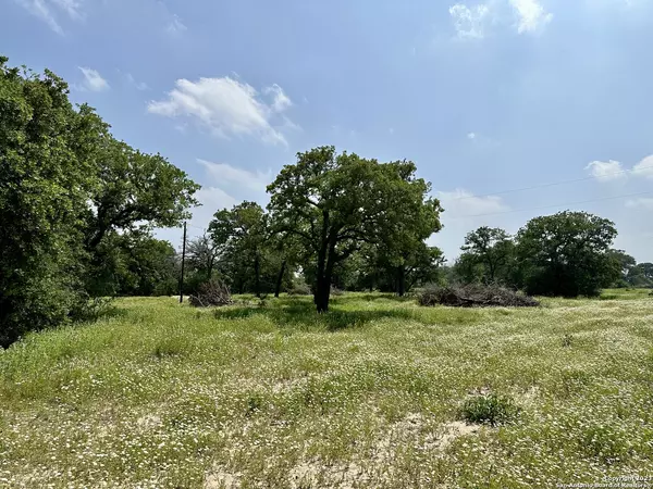 Luling, TX 78648,TBD Sandy Pine Road