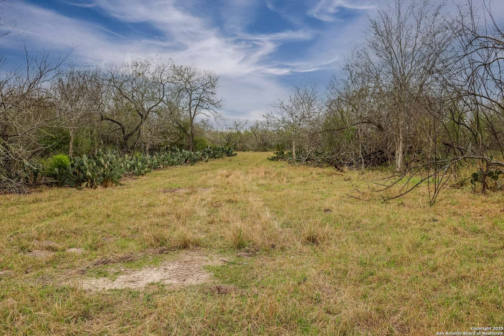 Goliad, TX 77963,TBD Hwy 239
