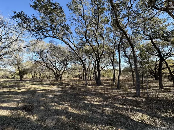 Floresville, TX 78114,1107 Feather Ridge Dr.