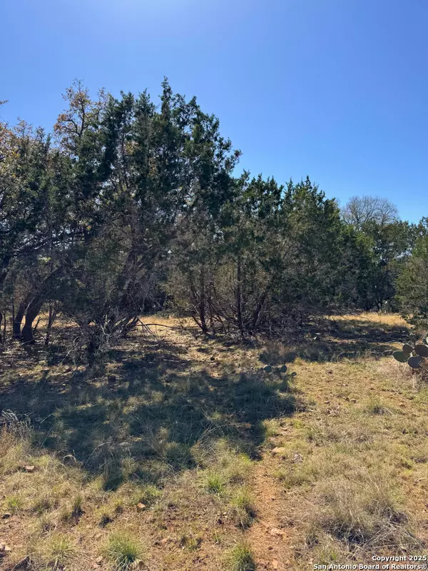 Bandera, TX 78003,000 SADDLE TRL