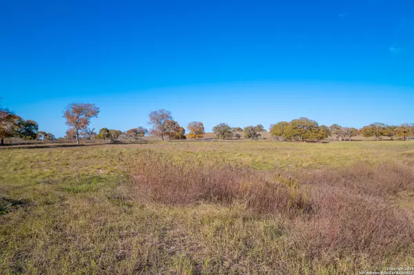 Stockdale, TX 78160-6140,847 LITTLEHORN LN